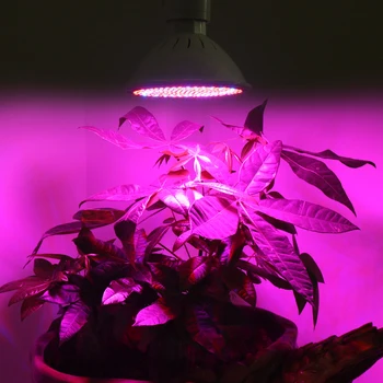 20 7W 10W//20 W/Bitki Kapalı Büyümek Box-Çiçekli Bitki İçin 265V SMD3528 ve Hidroponik Sistem E27 AC85 Işık Lamba Büyümek LED