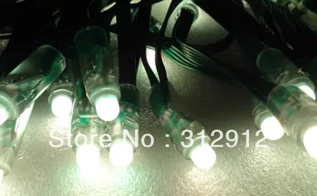 Delikten-12mm YEŞİL Tel IP68 DC giriş RGB dökümü düğüm LED;bir dize 100pcs